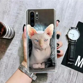 Lavaza Sfinksu Sfinksa Kaķis Tālruni Gadījumā, Huawei Honor 10 9 20 9X 8.A 8X 8S 7.A 7X Lite Pro 10es 20i Y5 Y6 Y7 Y9 2019 Segtu Coque
