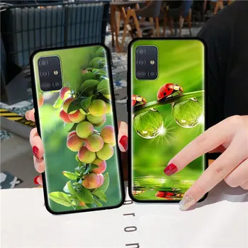 Zaļo Augļu ķiršu, Citronu Case For Samsung Galaxy A51 A71 A01 A81 A91 A50 A70 A70s M31 Melnu Silikona Vāciņu Fundas 0