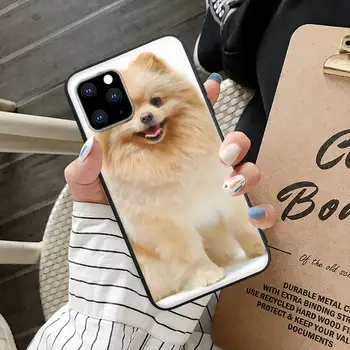 Pomerānijas Suņiem, Suņu Krāsains Cute Black Mobilā Tālruņa Vāciņu Priekš IPhone 12 11 Pro Max 7 8 6 6s Plus Xs X Xr Se 2020. gadam 5s 5 Lieta 3