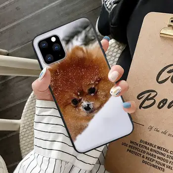 Pomerānijas Suņiem, Suņu Krāsains Cute Black Mobilā Tālruņa Vāciņu Priekš IPhone 12 11 Pro Max 7 8 6 6s Plus Xs X Xr Se 2020. gadam 5s 5 Lieta 5